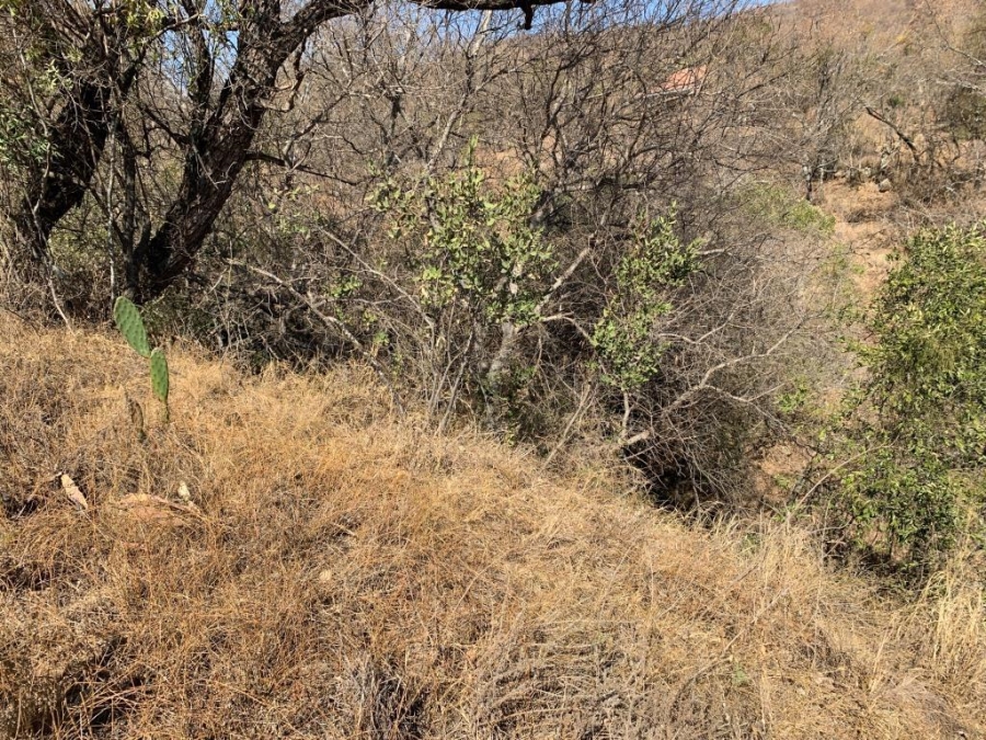 0 Bedroom Property for Sale in Kranspoort Mpumalanga