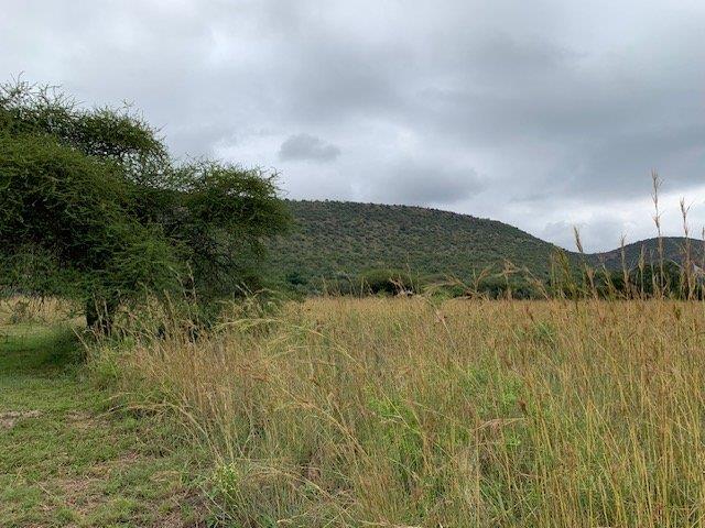 0 Bedroom Property for Sale in Kranspoort Mpumalanga