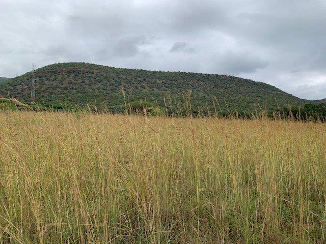 0 Bedroom Property for Sale in Kranspoort Mpumalanga