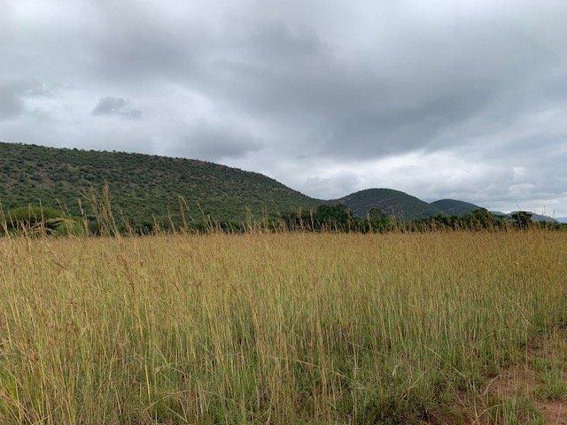 0 Bedroom Property for Sale in Kranspoort Mpumalanga