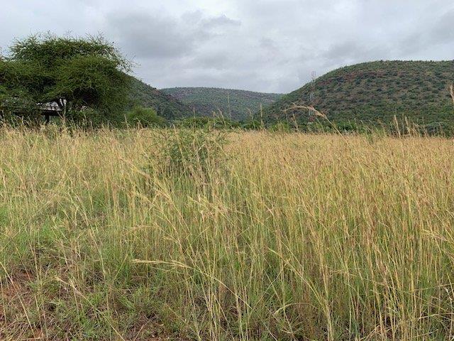 0 Bedroom Property for Sale in Kranspoort Mpumalanga