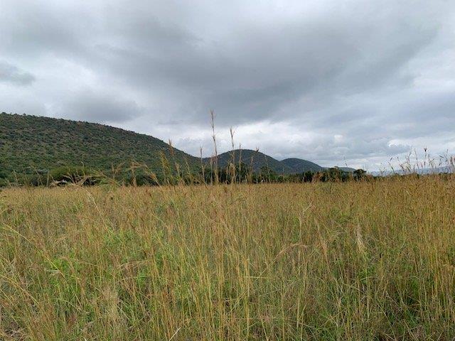 0 Bedroom Property for Sale in Kranspoort Mpumalanga