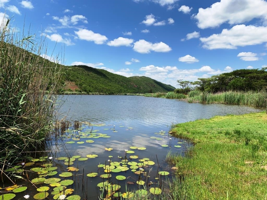 0 Bedroom Property for Sale in Kranspoort Mpumalanga