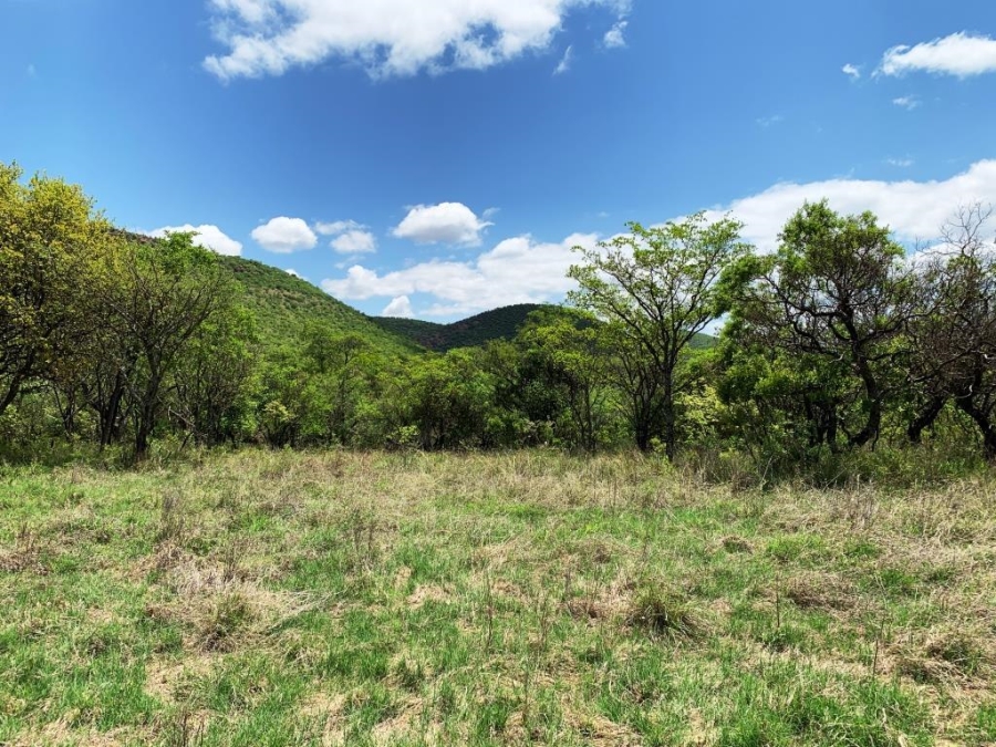 0 Bedroom Property for Sale in Kranspoort Mpumalanga