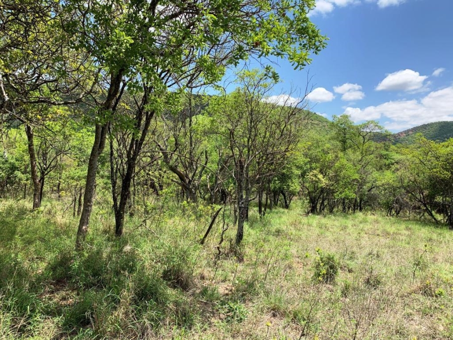 0 Bedroom Property for Sale in Kranspoort Mpumalanga