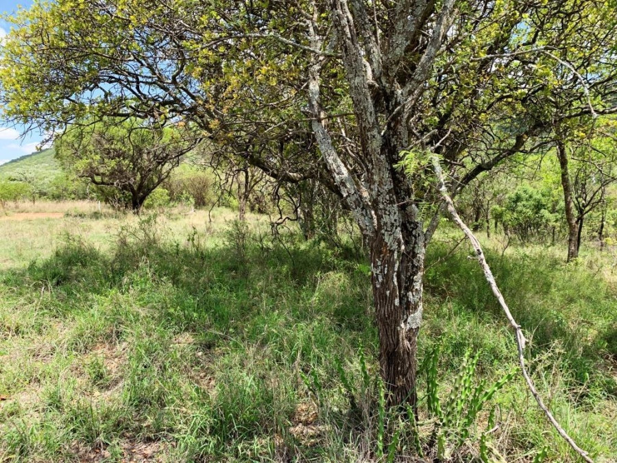 0 Bedroom Property for Sale in Kranspoort Mpumalanga