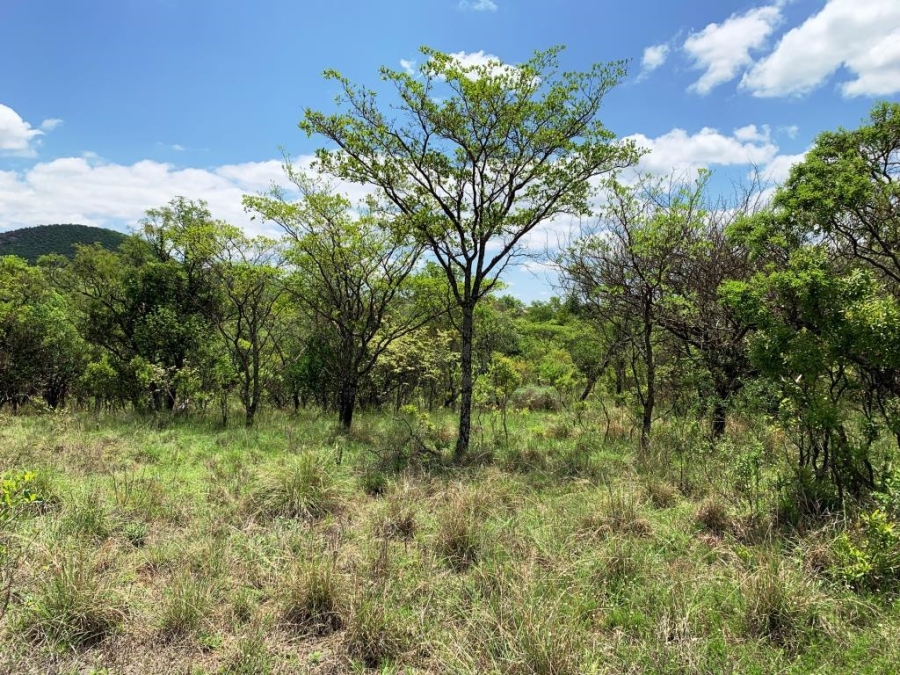 0 Bedroom Property for Sale in Kranspoort Mpumalanga