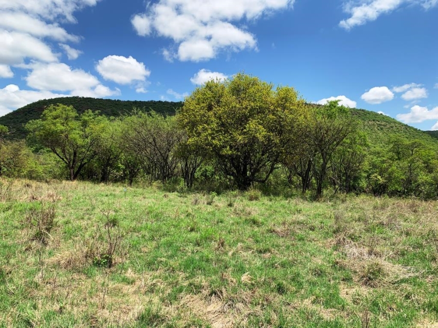 0 Bedroom Property for Sale in Kranspoort Mpumalanga