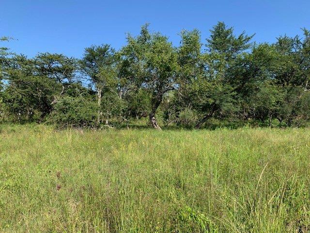 0 Bedroom Property for Sale in Kranspoort Mpumalanga