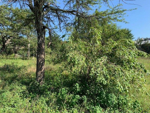 0 Bedroom Property for Sale in Kranspoort Mpumalanga