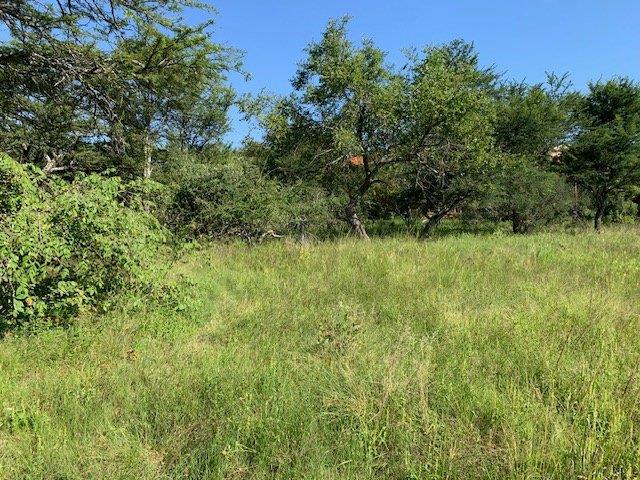 0 Bedroom Property for Sale in Kranspoort Mpumalanga