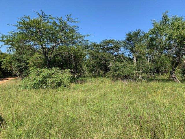 0 Bedroom Property for Sale in Kranspoort Mpumalanga