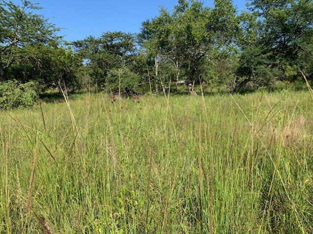 0 Bedroom Property for Sale in Kranspoort Mpumalanga