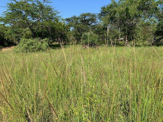 0 Bedroom Property for Sale in Kranspoort Mpumalanga