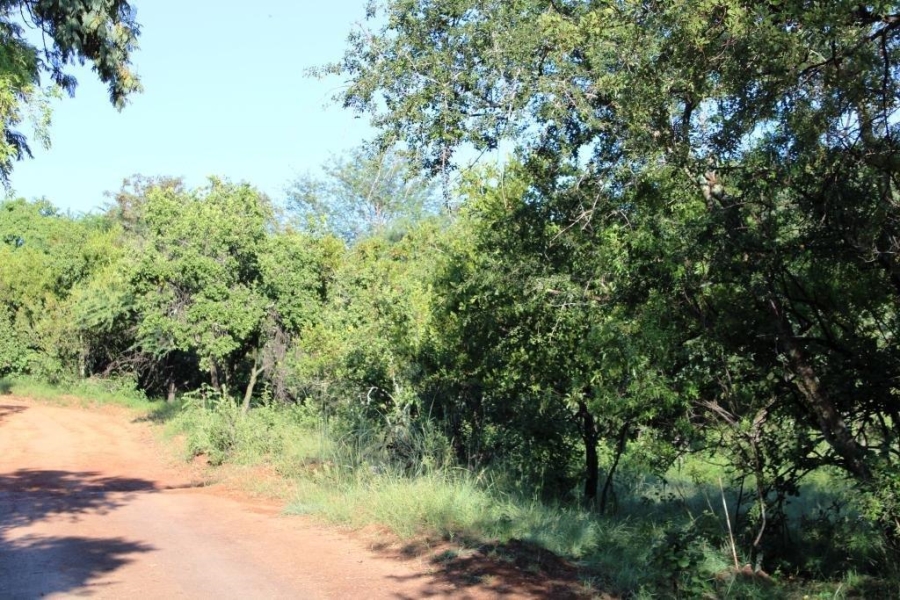 0 Bedroom Property for Sale in Kranspoort Mpumalanga