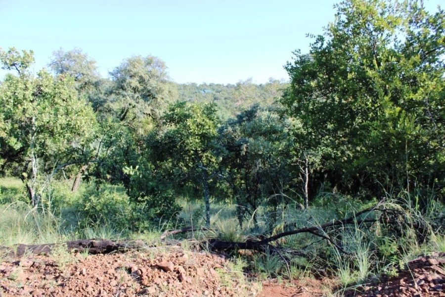 0 Bedroom Property for Sale in Kranspoort Mpumalanga