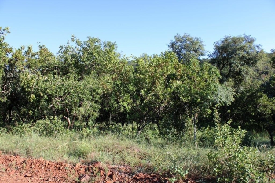 0 Bedroom Property for Sale in Kranspoort Mpumalanga
