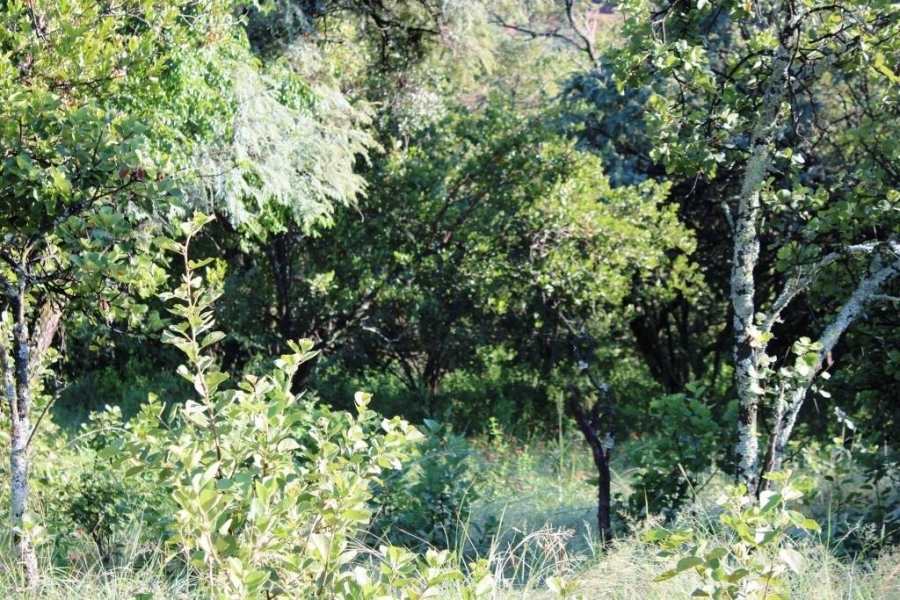 0 Bedroom Property for Sale in Kranspoort Mpumalanga