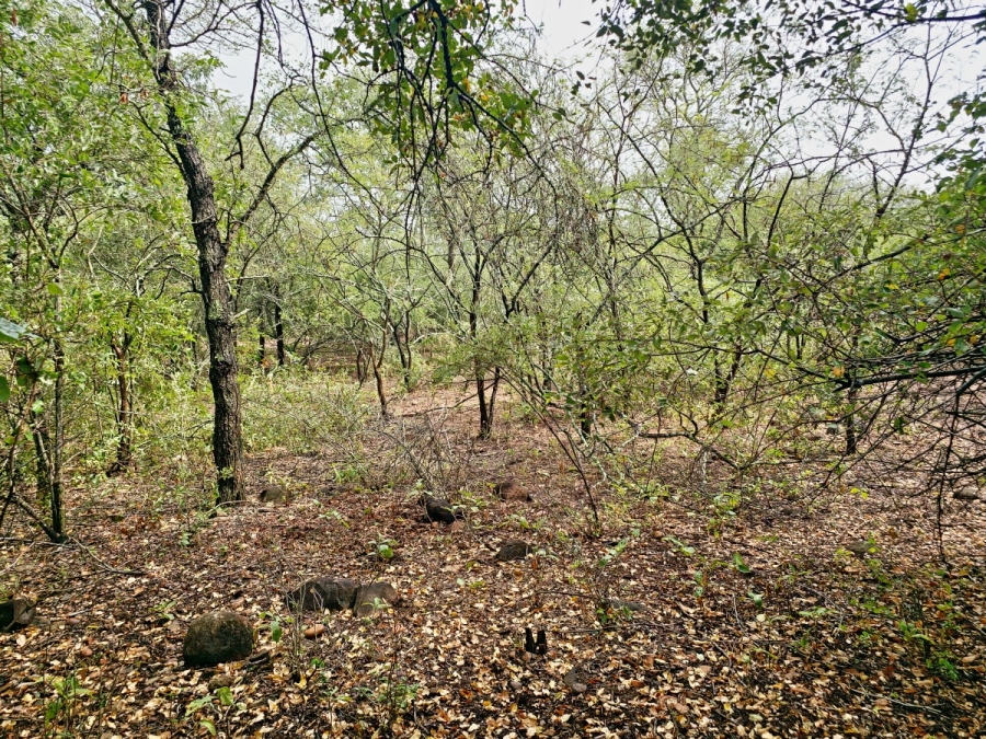 5 Bedroom Property for Sale in Marloth Park Mpumalanga