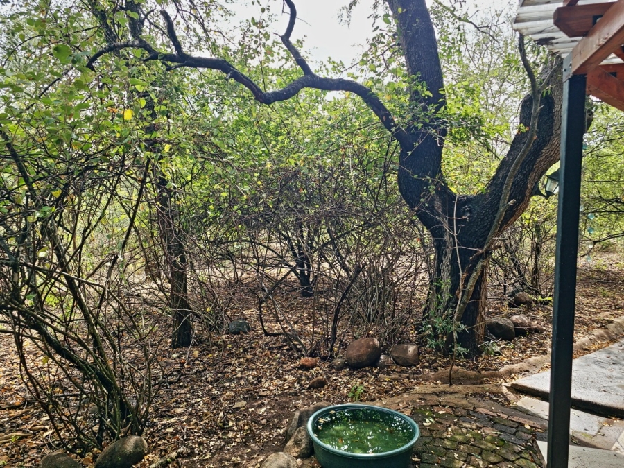 5 Bedroom Property for Sale in Marloth Park Mpumalanga