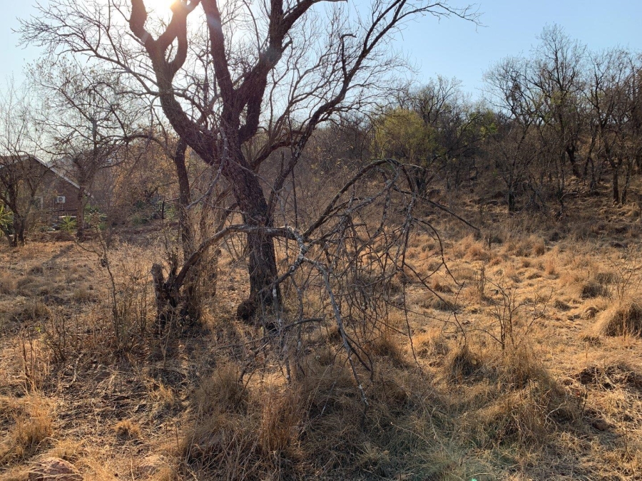 0 Bedroom Property for Sale in Kranspoort Mpumalanga