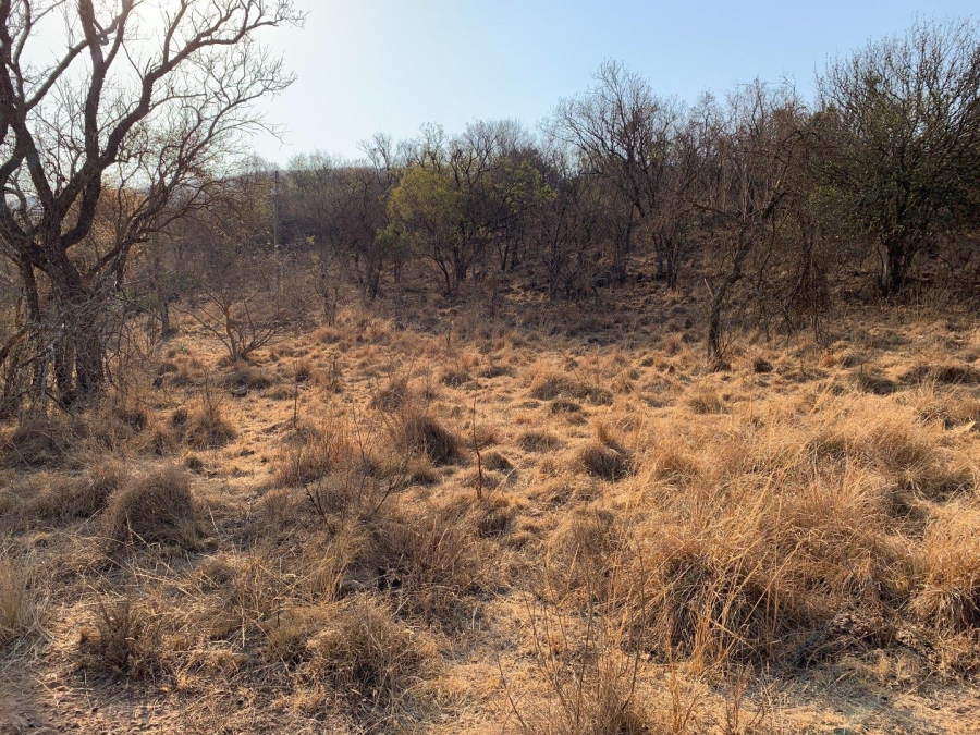 0 Bedroom Property for Sale in Kranspoort Mpumalanga