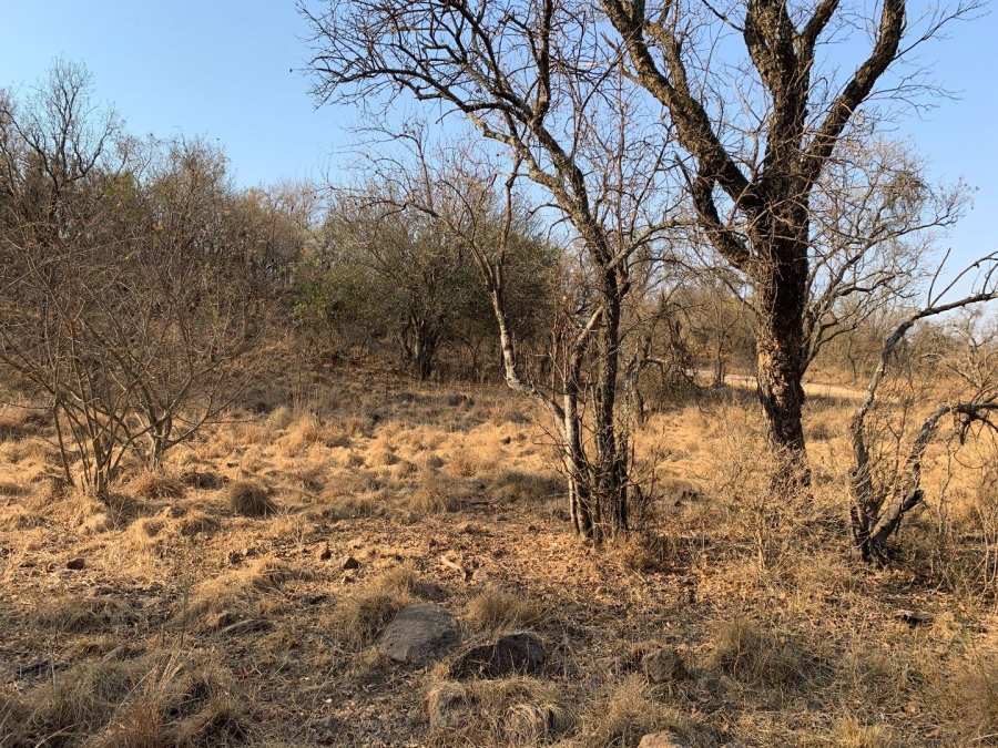 0 Bedroom Property for Sale in Kranspoort Mpumalanga