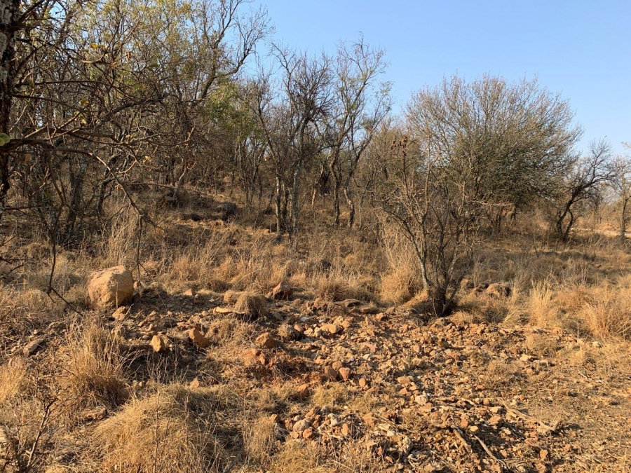 0 Bedroom Property for Sale in Kranspoort Mpumalanga