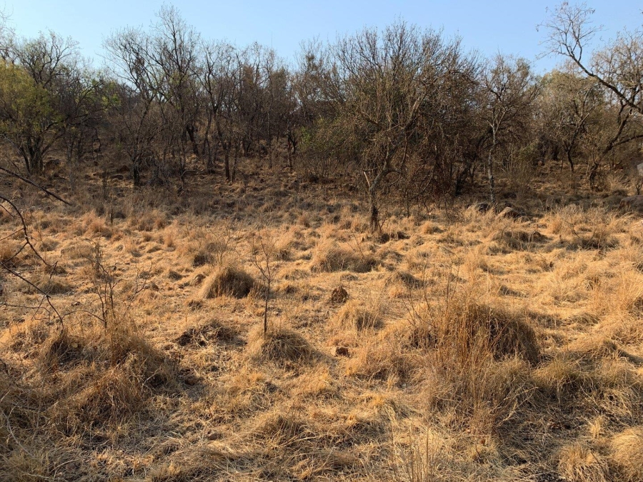 0 Bedroom Property for Sale in Kranspoort Mpumalanga