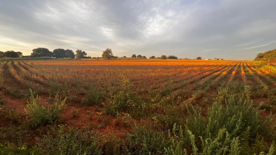 0 Bedroom Property for Sale in Droogefontein Mpumalanga