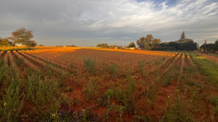 0 Bedroom Property for Sale in Droogefontein Mpumalanga