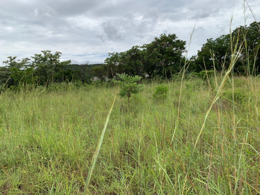 0 Bedroom Property for Sale in Kranspoort Mpumalanga