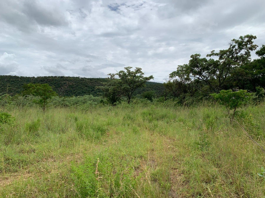 0 Bedroom Property for Sale in Kranspoort Mpumalanga