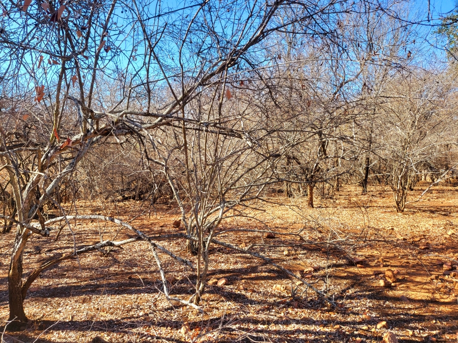 0 Bedroom Property for Sale in Marloth Park Mpumalanga