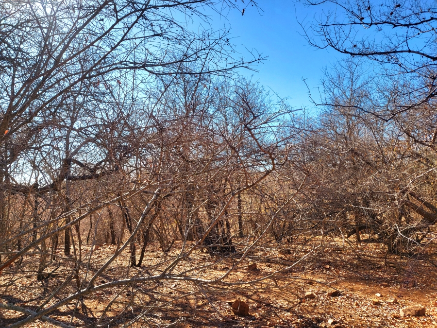 0 Bedroom Property for Sale in Marloth Park Mpumalanga