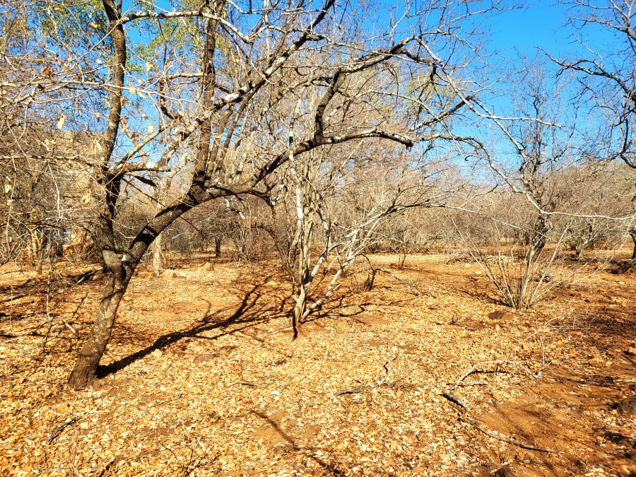 0 Bedroom Property for Sale in Marloth Park Mpumalanga