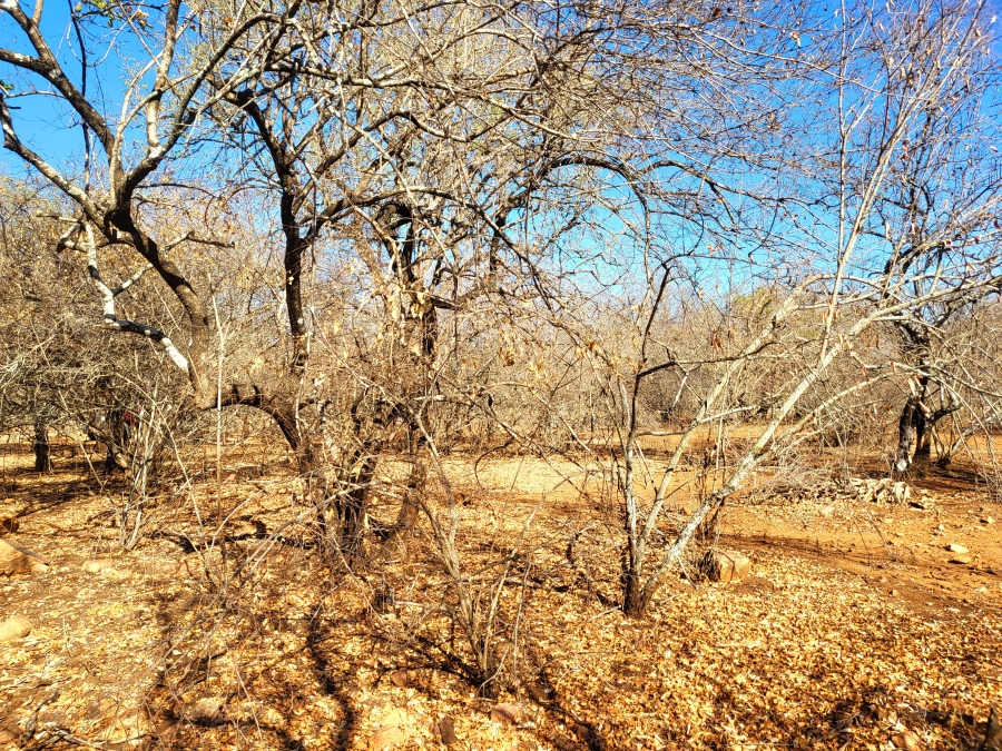 0 Bedroom Property for Sale in Marloth Park Mpumalanga