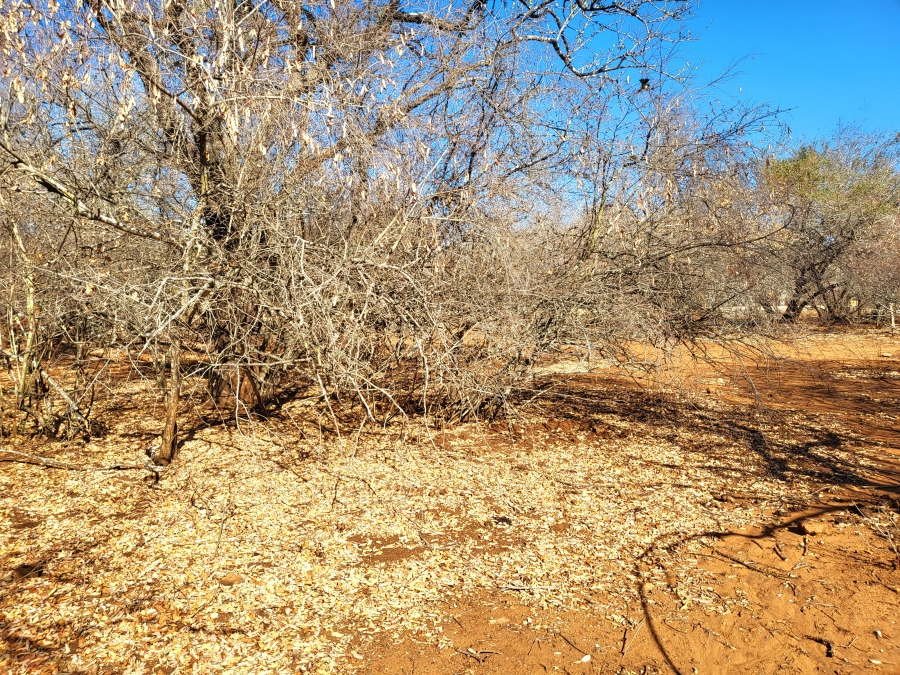 0 Bedroom Property for Sale in Marloth Park Mpumalanga
