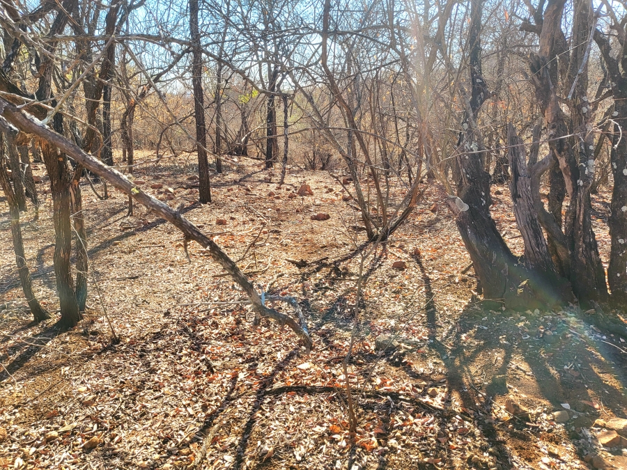 0 Bedroom Property for Sale in Marloth Park Mpumalanga
