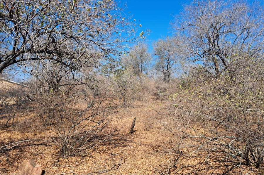 0 Bedroom Property for Sale in Marloth Park Mpumalanga