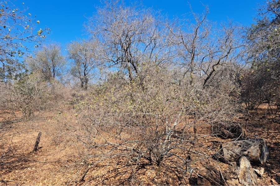 0 Bedroom Property for Sale in Marloth Park Mpumalanga