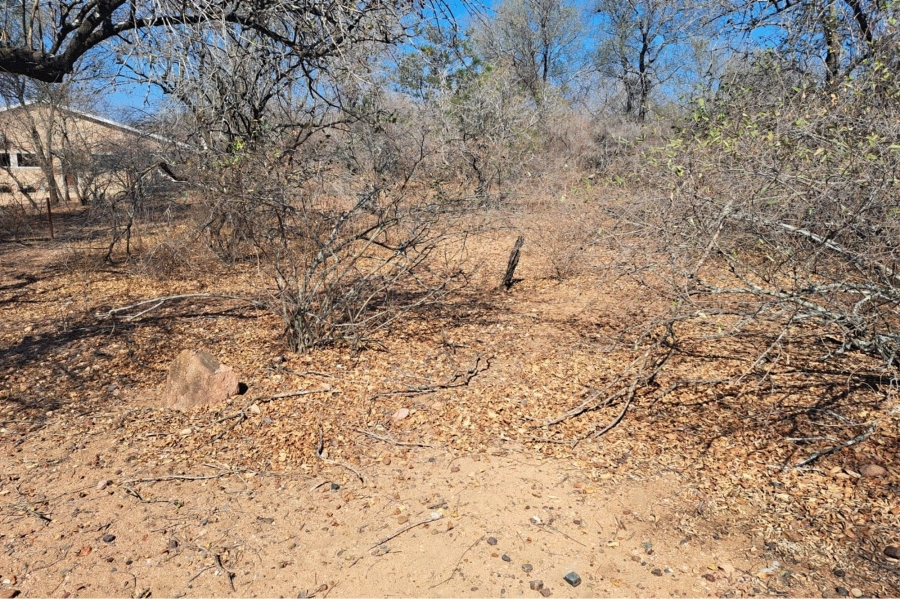 0 Bedroom Property for Sale in Marloth Park Mpumalanga