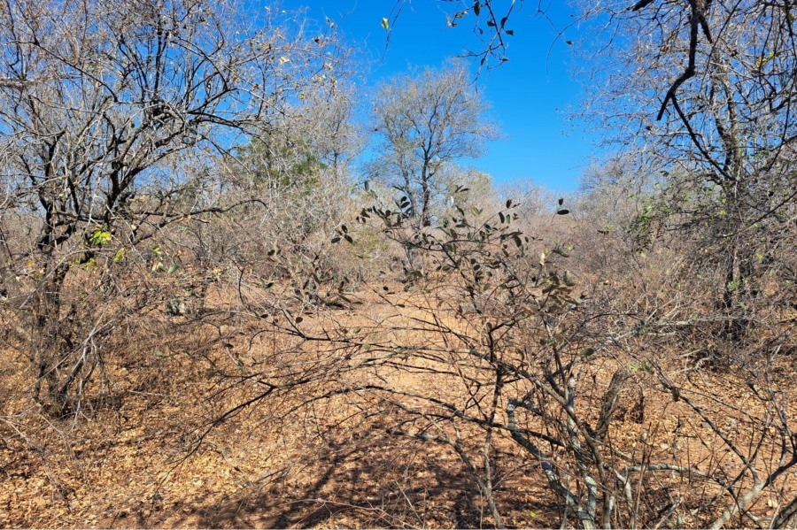 0 Bedroom Property for Sale in Marloth Park Mpumalanga