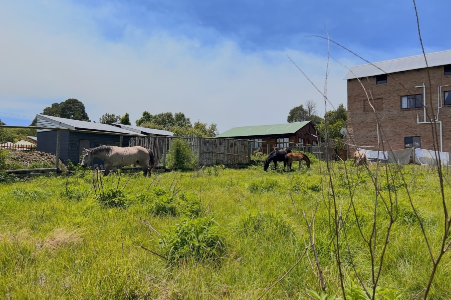0 Bedroom Property for Sale in Kaapschehoop Mpumalanga