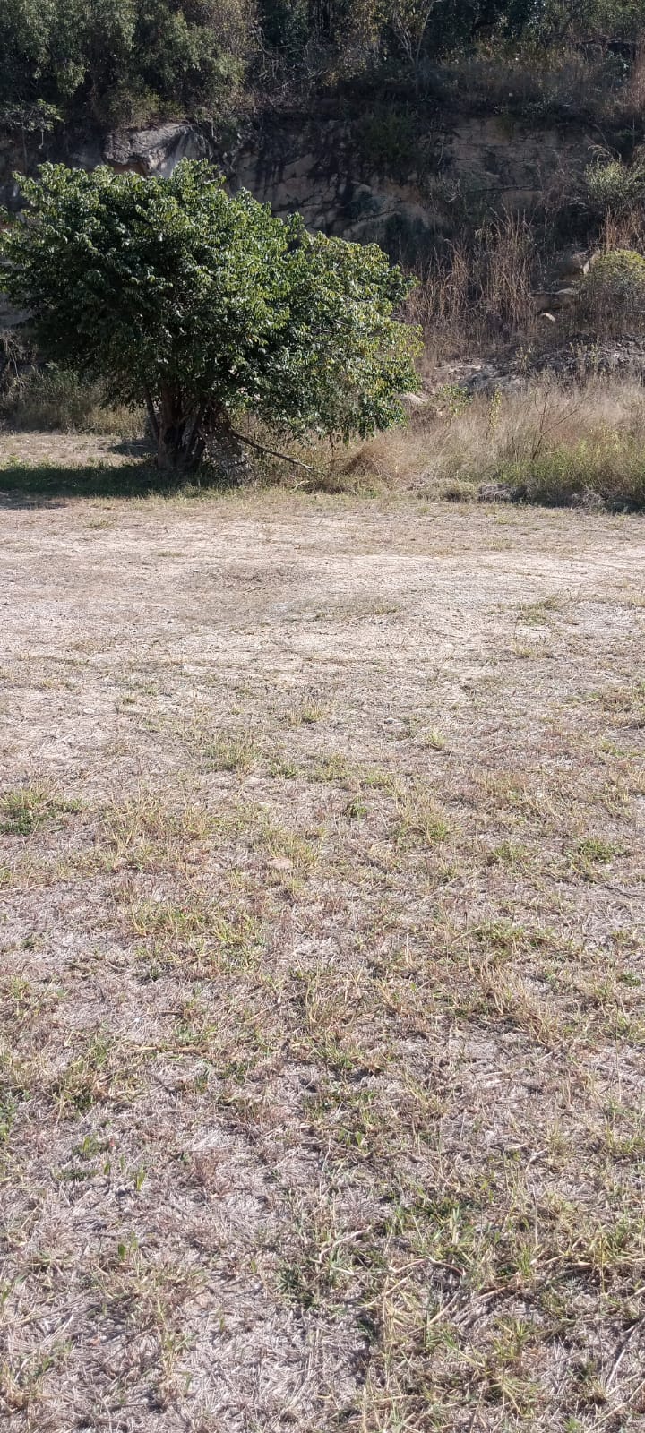 0 Bedroom Property for Sale in Kamagugu Mpumalanga