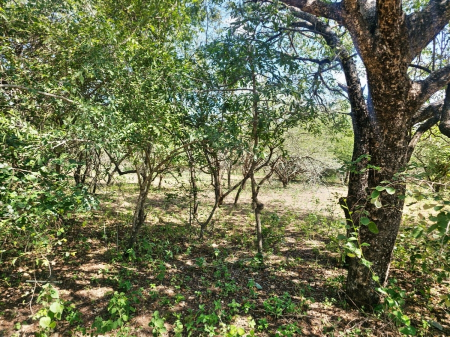 0 Bedroom Property for Sale in Marloth Park Mpumalanga