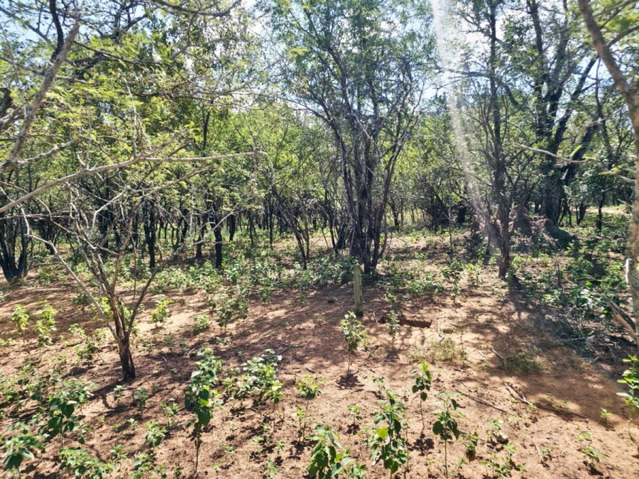 0 Bedroom Property for Sale in Marloth Park Mpumalanga