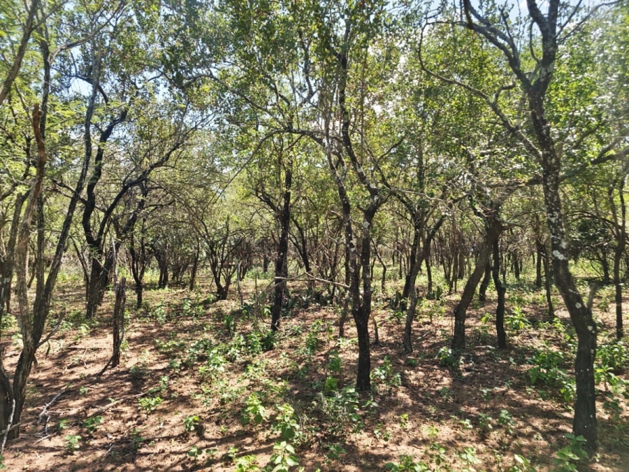 0 Bedroom Property for Sale in Marloth Park Mpumalanga