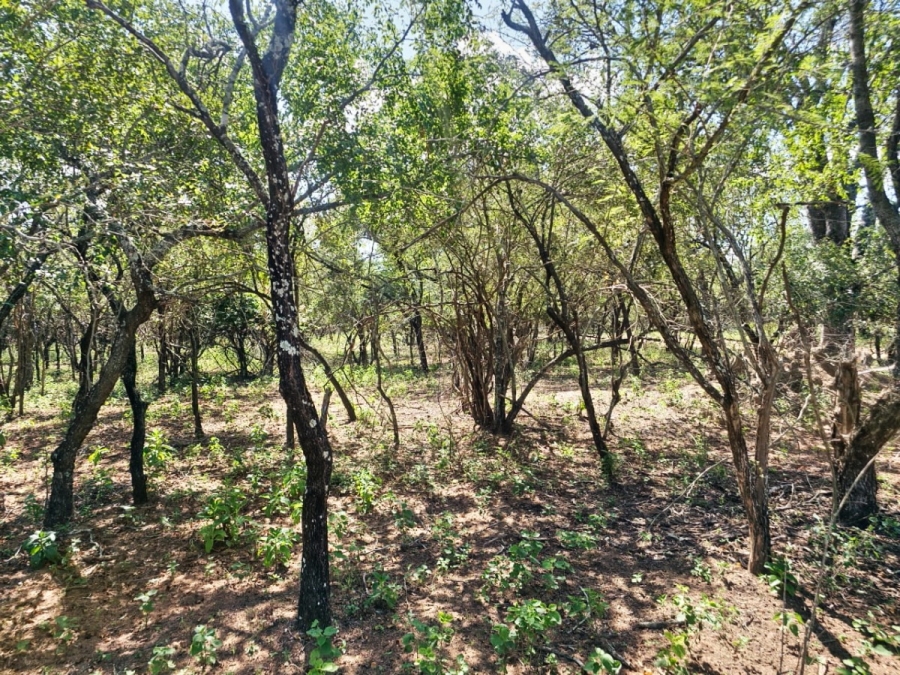 0 Bedroom Property for Sale in Marloth Park Mpumalanga