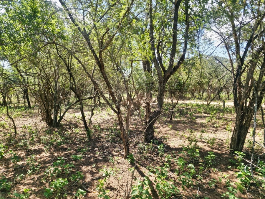 0 Bedroom Property for Sale in Marloth Park Mpumalanga